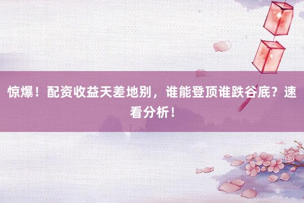 惊爆！配资收益天差地别，谁能登顶谁跌谷底？速看分析！