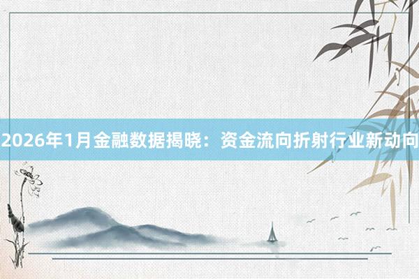 2026年1月金融数据揭晓：资金流向折射行业新动向
