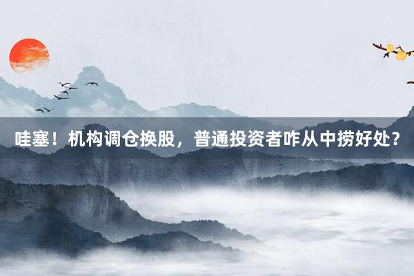 哇塞！机构调仓换股，普通投资者咋从中捞好处？