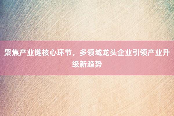 聚焦产业链核心环节，多领域龙头企业引领产业升级新趋势