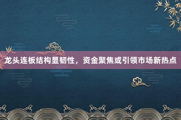 龙头连板结构显韧性，资金聚焦或引领市场新热点