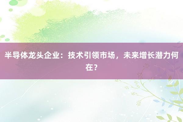 半导体龙头企业：技术引领市场，未来增长潜力何在？