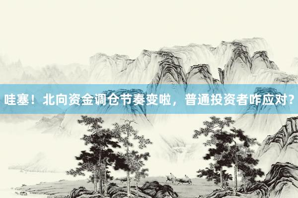 哇塞！北向资金调仓节奏变啦，普通投资者咋应对？