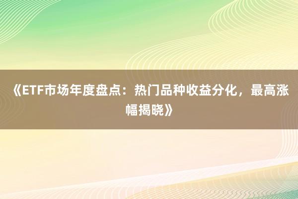 《ETF市场年度盘点：热门品种收益分化，最高涨幅揭晓》