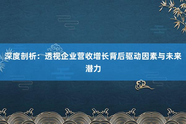 深度剖析：透视企业营收增长背后驱动因素与未来潜力