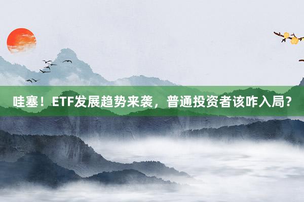 哇塞！ETF发展趋势来袭，普通投资者该咋入局？