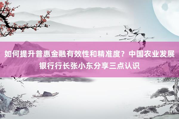 如何提升普惠金融有效性和精准度？中国农业发展银行行长张小东分享三点认识