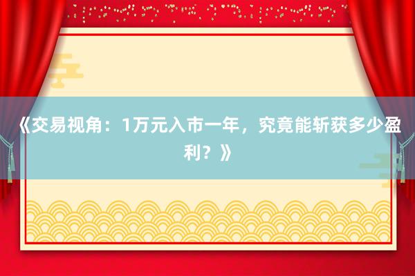 《交易视角：1万元入市一年，究竟能斩获多少盈利？》