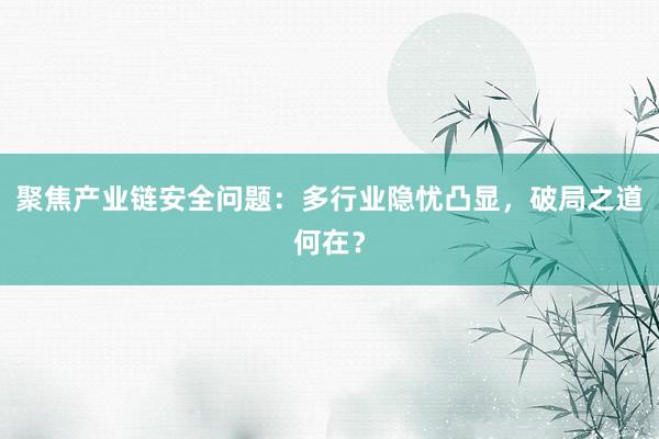 聚焦产业链安全问题：多行业隐忧凸显，破局之道何在？