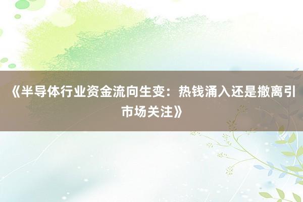 《半导体行业资金流向生变：热钱涌入还是撤离引市场关注》