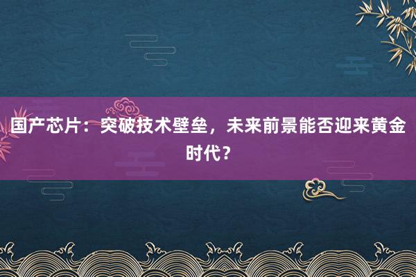 国产芯片：突破技术壁垒，未来前景能否迎来黄金时代？