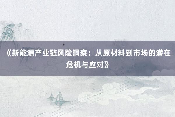 《新能源产业链风险洞察：从原材料到市场的潜在危机与应对》