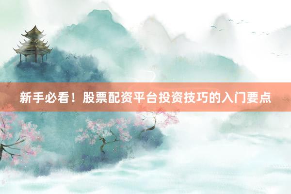新手必看！股票配资平台投资技巧的入门要点